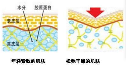 妃颜引领美容科技创新,意大利马蒂奥利落户深圳