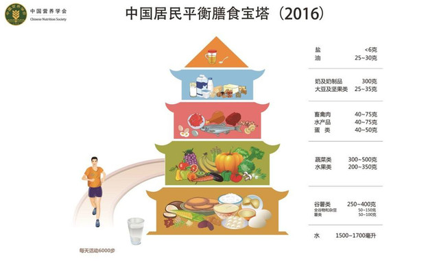 减肥总失败？或许你缺的并非毅力而是这份指南